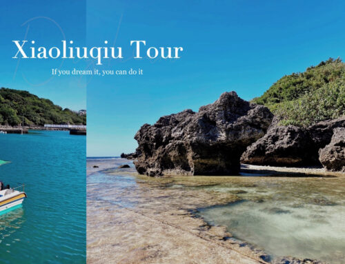衫福潮間帶生態小旅、小琉球特景～維妙維肖的山豬礁岩