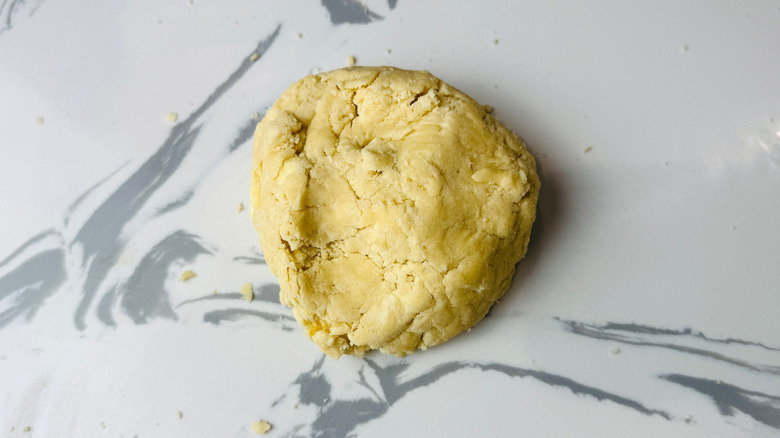 Pie crust dough on countertop