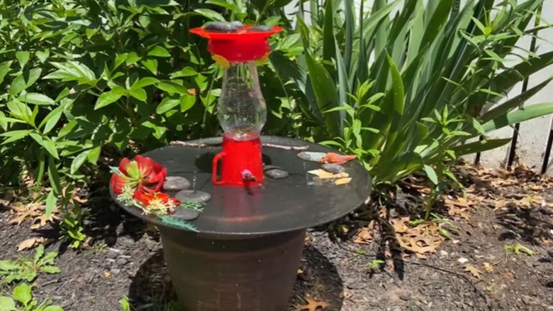 final look of bird bath design