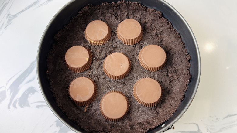 Peanut butter cups arranged across Oreo crust in pan