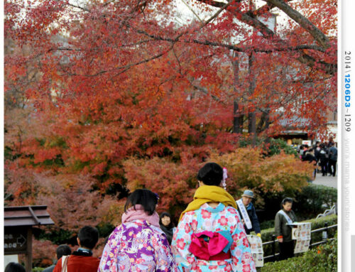 【婗媽看世界】D3：京都│夢館和服: 清水寺 : 八坂神社 : 高台寺（下)