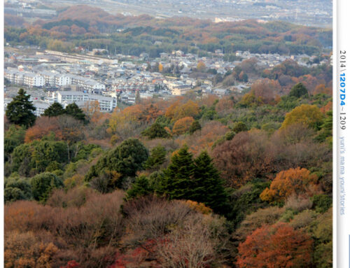 【婗媽看世界】京都:::若草山一重目.二重目.三重目.一覽無遺的豪邁景緻